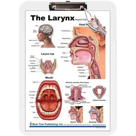 Larynx Clipboard