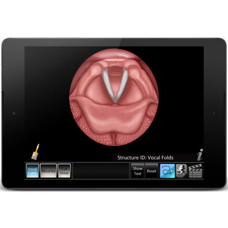 Vocal Folds ID App