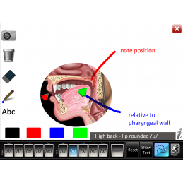 Speech Articulation: Vowels Front/Back App