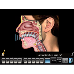 Speech Articulation: Vowels Front/Back App
