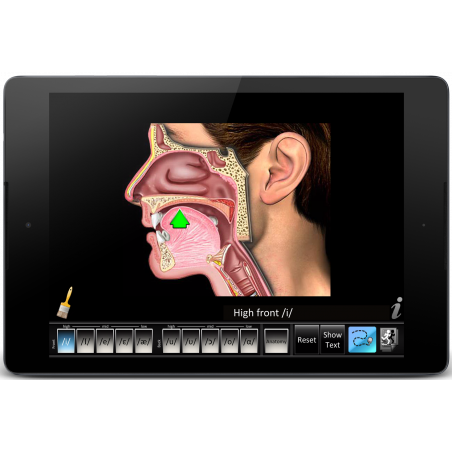 Speech Articulation: Vowels Front/Back App