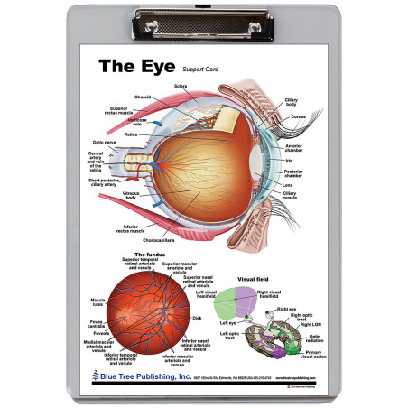 Eye Clipboard