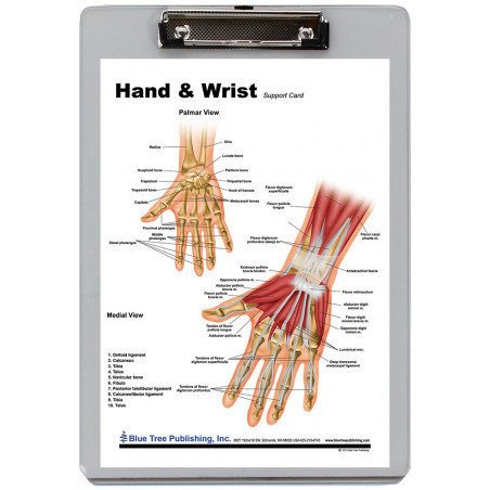 Hand and Wrist Clipboard