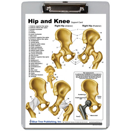 Hip and Knee Clipboard