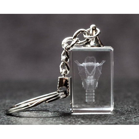 Larynx 3d Laser Crystal Key Chain