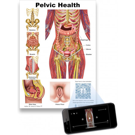 Pelvic Health QR Clipboard