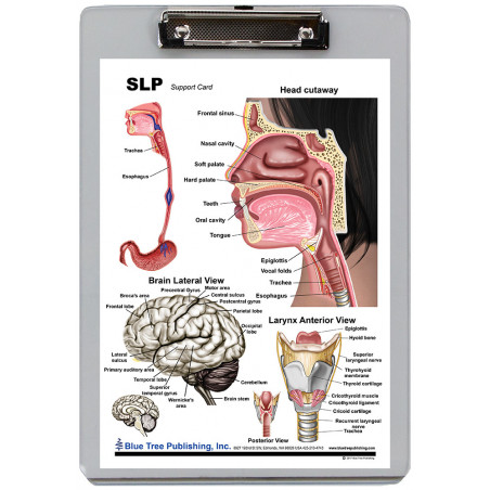 SLP Clipboard