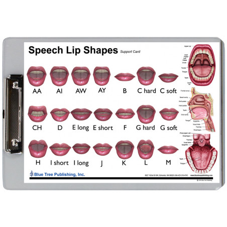 Speech Lip Shapes Clipboard