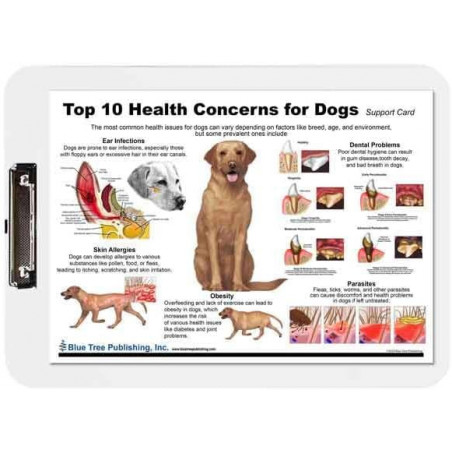Dog 10 Health Concern