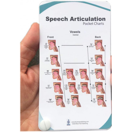 Speech articulation Anatomy Pocket Charts