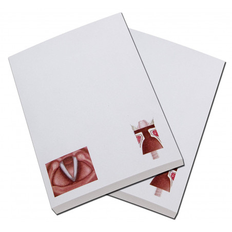 Vocal Folds Note Pad 2 pc set