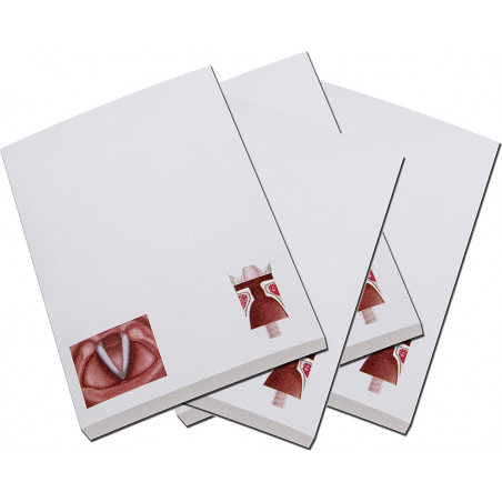 Vocal Folds Note Pad 4 pc set
