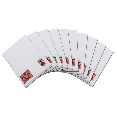 Vocal Folds Note Pad 10 pc set