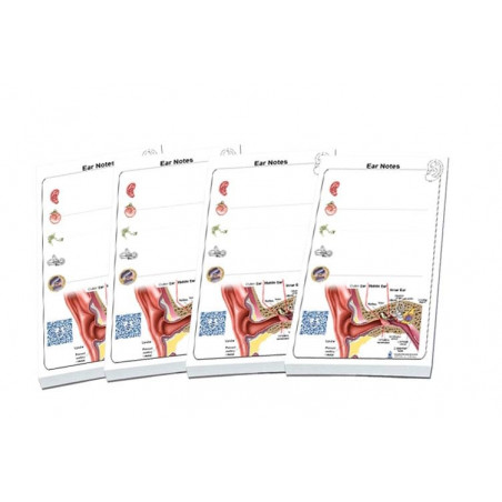 Ear Magnetic Back Notepad 4 pc set