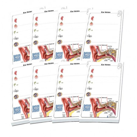 Ear Magnetic Back Notepad 8 pc set
