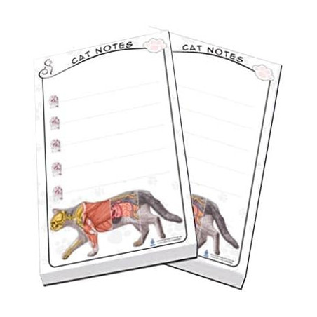 Cat Magnetic Back Notepad 2 pc set
