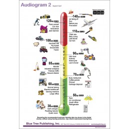 Hearing Computer Software and Chart Set - Audiogram Two Anatomical Chart front