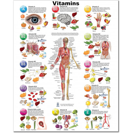 Vitamins Medium Poster