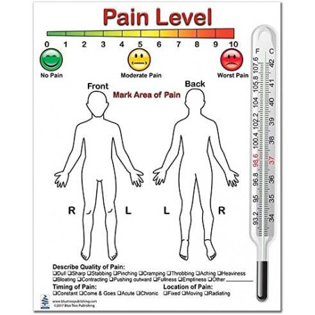 Pain Level Adult Medium Poster