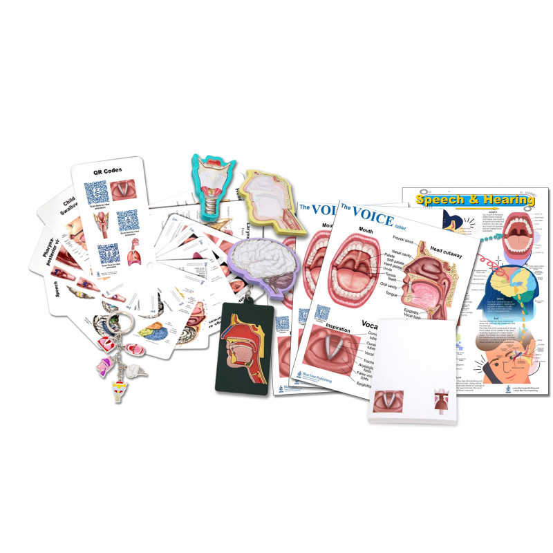 11 Piece SLP Educational Supplies Kit, Voice and Speech Therapy Tools, Charts, Models, Keychains, Head Model, Note Pads 11 Piece SLP Educational Supplies Kit, Voice and Speech Therapy Tools, Charts, Models, Keychains, Head Model, Note Pads