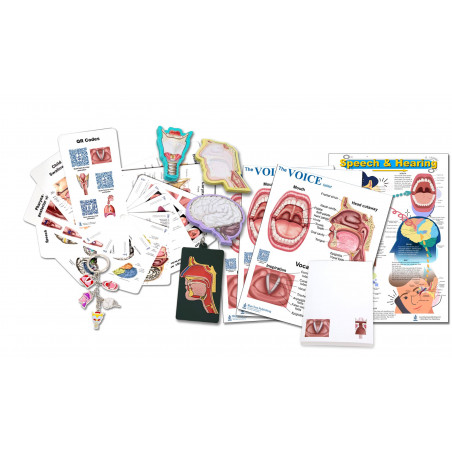 11 Piece SLP Educational Supplies Kit, Voice and Speech Therapy Tools, Charts, Models, Keychains, Head Model, Note Pads