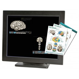 Brain Computer App Chart Tablet Set