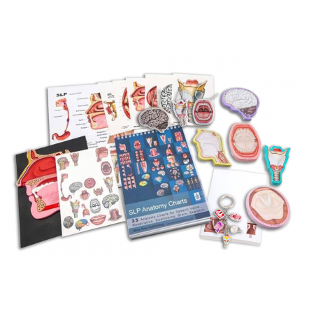 20 piece SLP Educational Supplies Kit, Voice and Speech Therapy Tools
