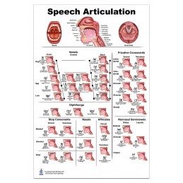 Speech Articulation Medium Poster
