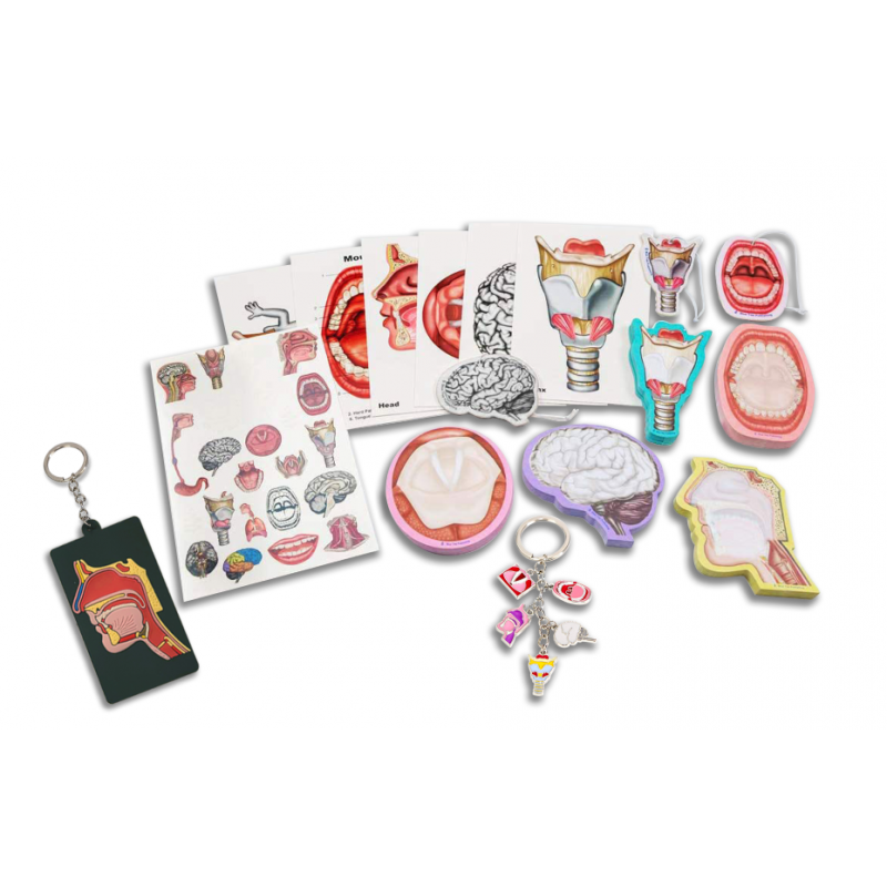 SLP Gift Box Collection, 17 Pack SLP Gift Box Collection, 17 Pack