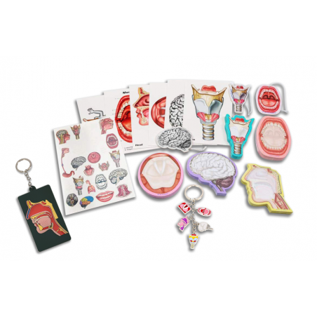 SLP Gift Box Collection, 17 Pack