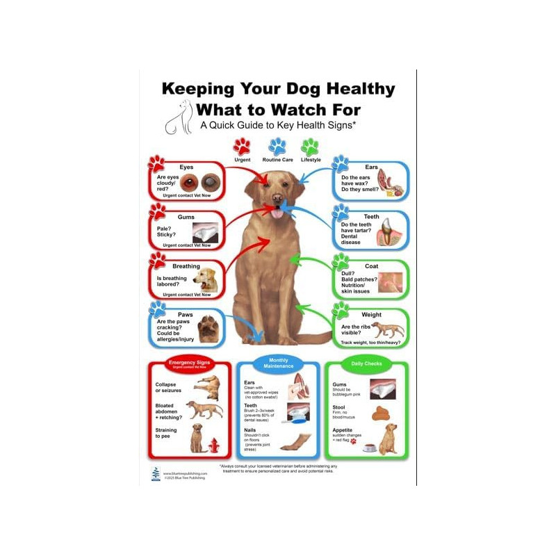 Keeping Your Dog Healthy Regular Poster