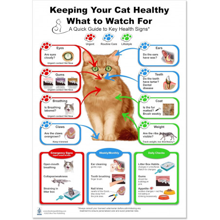 Keeping Your Cat Healthy Large Poster