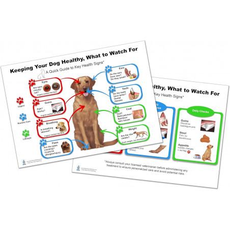 Keeping your dog healthy Chart for Veterinary Reference, Dog anatomy, Animal poster, Dog Lovers