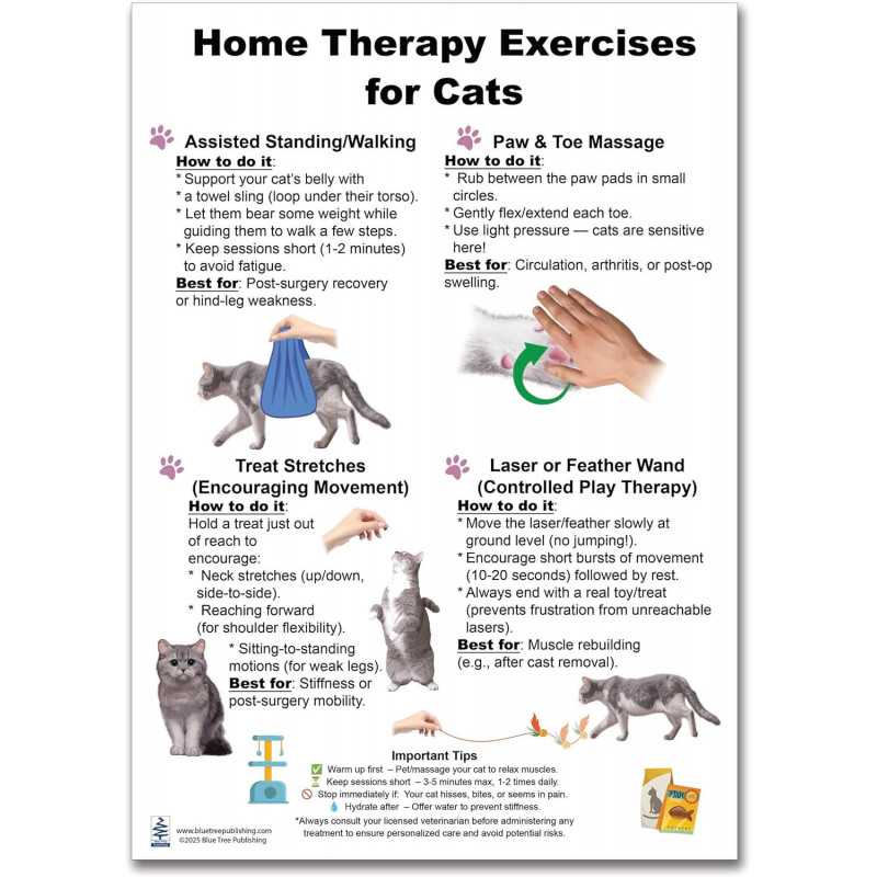 10 Natural Ways to Get Harder & Maintain an Erection