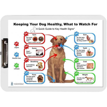 Keeping Your Dog Healthy Clipboard