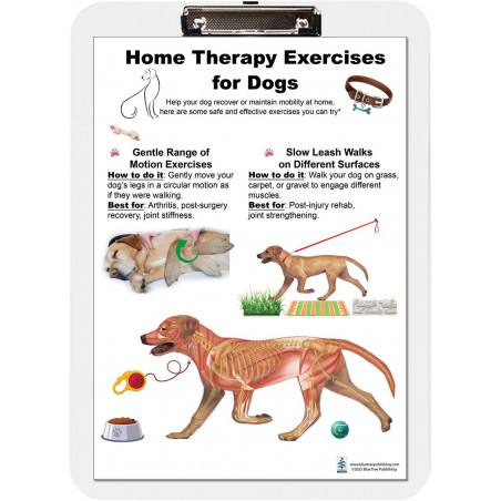 Home Therapy Exercises for Dog Clipboard
