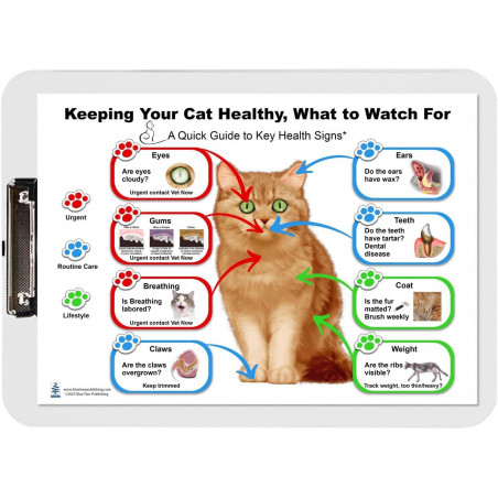Keeping Your Cat Healthy Clipboard