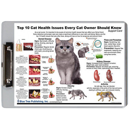 Cat Top Ten Health Issues Clipboard