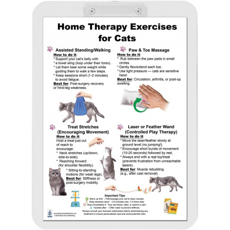 Home Therapy Exercises for Cat Clipboard