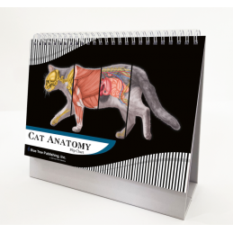 Cat Anatomy Flip Chart