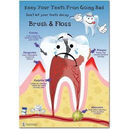 Dental Information Large Poster