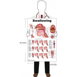 Swallowing, Swallowing Disorder, Child Swallowing Disorders Large Poster Set