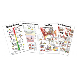 Ear, Ear Disorders, Audiogram, Daily Noise, 4 Poster Set