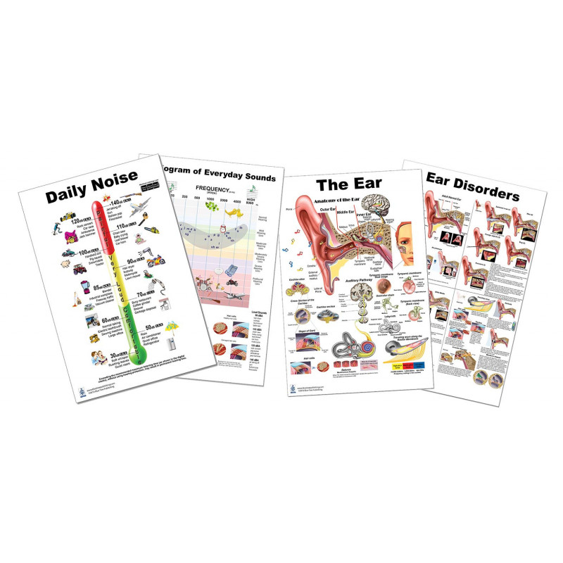 Ear, Ear Disorders, Audiogram, Daily Noise, 4 Poster Set