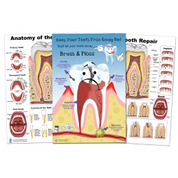 Dental Education Poster set, Anatomy of the Tooth, Tooth Repair, Bad Teeth  3 Poster Set