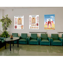 Dental Education Poster set, Anatomy of the Tooth, Tooth Repair, Bad Teeth  3 Poster Set
