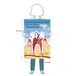 Dental Education Large Poster Set