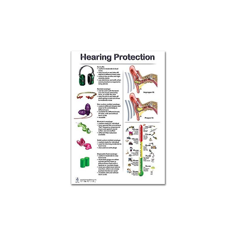 Hearing Protection Poster 12x17inch, Molded Ear Plug, Banded Ear Plug, Musician Ear Plug