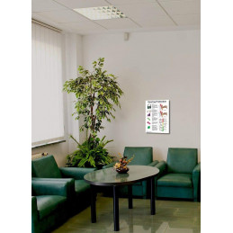 Hearing Protection Poster 12x17inch, Molded Ear Plug, Banded Ear Plug, Musician Ear Plug