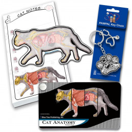 Cat anatomy pocket chart, magnetic notepad, sticky note, keychain, Veterinary education 4pc set.